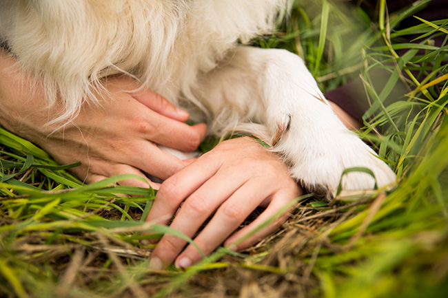 Hundefotograf Göttingen, Hundefotografie Göttingen, Fotografie Göttingen, Fotograf Göttingen, Jonathan Michaeli