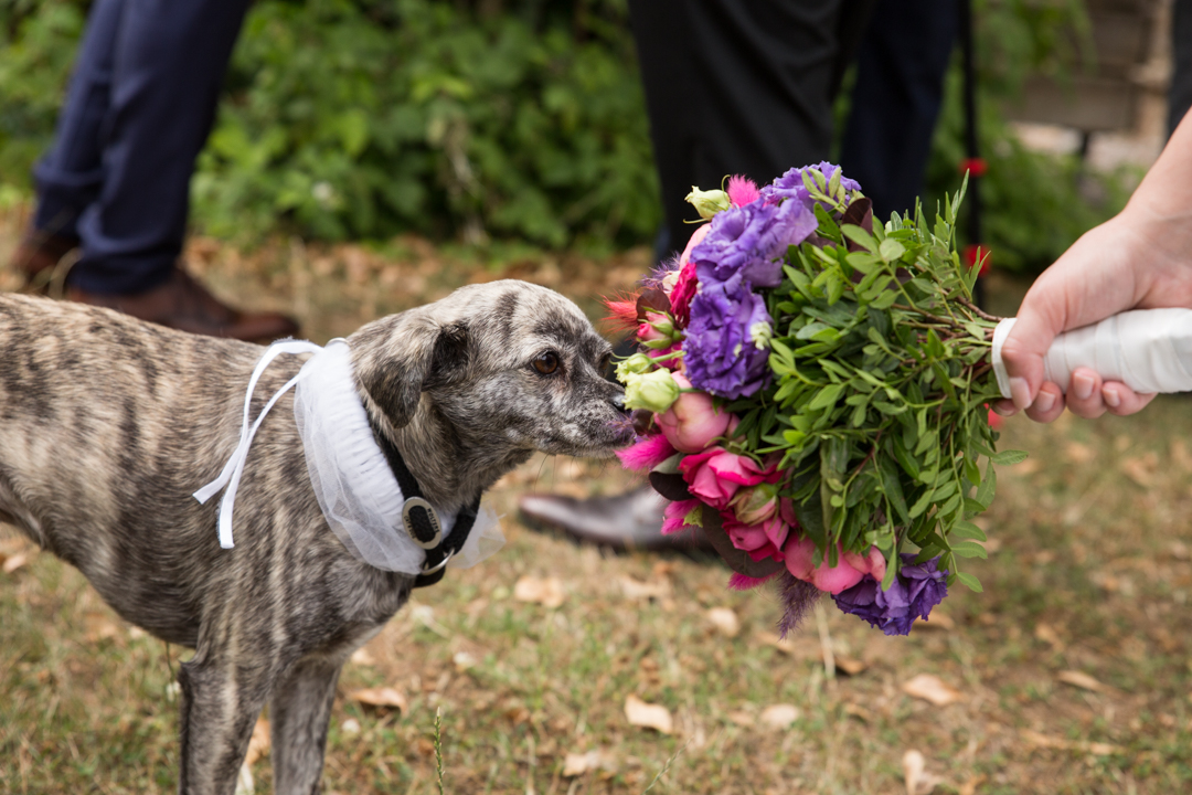 hochzeitfotografie goettingen - hochzeitfotograf goettingen - hochzeitfotograf kassel - hochzeitfotograf hannover - hochzeitfotograf - jonathan michaeli fotografie - jo-foto