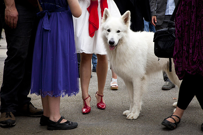 Hochzeitfotografie Göttingen, Hochzeitfotograf Göttingen, Jonathan Michaeli Fotografie